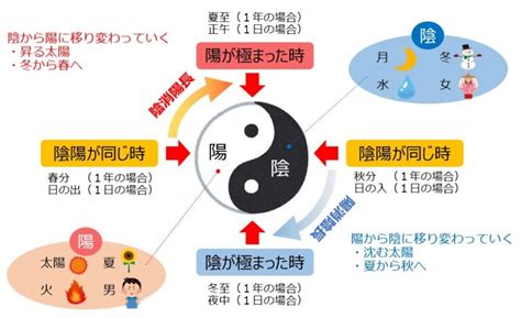 陰陽 分類|陰陽学説、何が陰で、何が陽？ 覚え方を解説